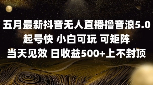 2025五月最新无人直播撸音浪单日产出5张+实操教程【揭秘】网赚项目-副业赚钱-互联网创业-资源整合御文网赚