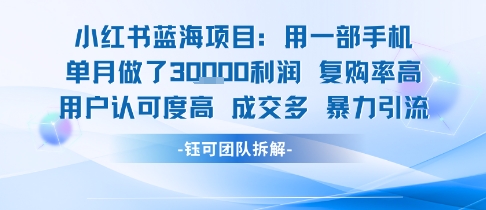 小红书蓝海项目，一部手机单月做了3W利润，小白也能月入过1W用户认可度高成交多网赚项目-副业赚钱-互联网创业-资源整合御文网赚