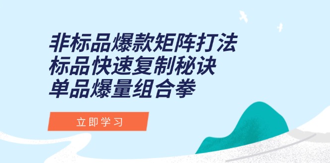 非标品爆款矩阵打法，标品快速复制秘诀，单品爆量组合拳网赚项目-副业赚钱-互联网创业-资源整合御文网赚