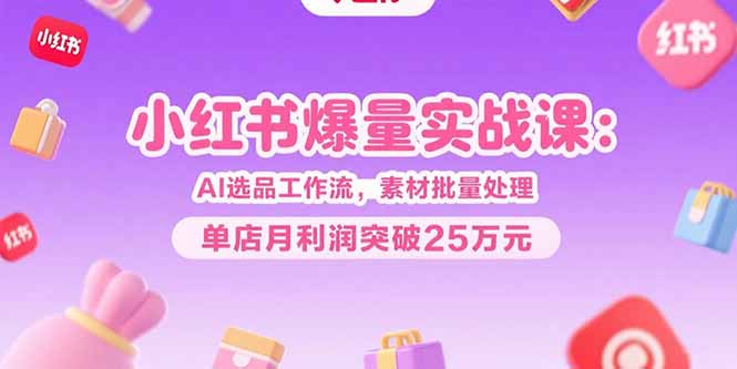 小红书爆量实战课：AI选品工作流，素材批量处理，单店月利润突破25万元网赚项目-副业赚钱-互联网创业-资源整合御文网赚