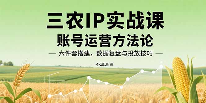 三农IP实战课：账号运营方法论，六件套搭建，数据复盘与投放技巧网赚项目-副业赚钱-互联网创业-资源整合御文网赚