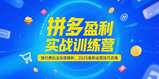 拼多多盈利实战训练营，强付费玩法深度解析，2025运营技巧合集-更新6月网赚项目-副业赚钱-互联网创业-资源整合御文网赚