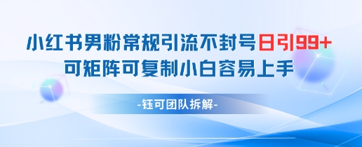 小红书男粉常规引流不封号日引99+变现简单 可矩阵可复制小白容易上手网赚项目-副业赚钱-互联网创业-资源整合御文网赚