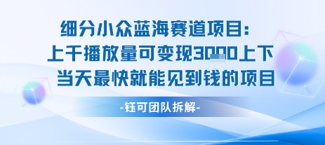 小众蓝海赛道项目：当天变现1k+适合新手操作 +适合长期玩网赚项目-副业赚钱-互联网创业-资源整合御文网赚