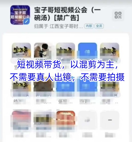 宝子哥头部团队短视频带货，以混剪为主，不需要真人出镜，不需要拍摄【更新】网赚项目-副业赚钱-互联网创业-资源整合御文网赚