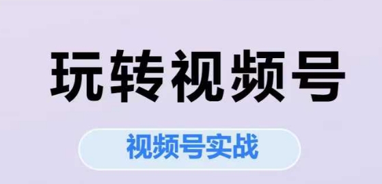 玩转视频号，视频号实战系列课网赚项目-副业赚钱-互联网创业-资源整合御文网赚