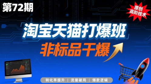 淘宝天猫打爆班原创高阶技术第72期，非标品干爆网赚项目-副业赚钱-互联网创业-资源整合御文网赚