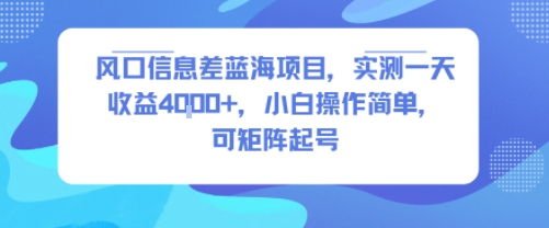 风口信息差蓝海项目，实测一天收益4k+，小白操作简单，可矩阵起号网赚项目-副业赚钱-互联网创业-资源整合御文网赚