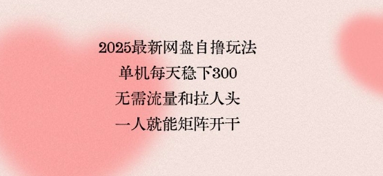 2025最新网盘自撸玩法，单机每天稳下3张，无需流量和拉人头，一个人就可轻松矩阵，全网独一份【揭秘】网赚项目-副业赚钱-互联网创业-资源整合御文网赚