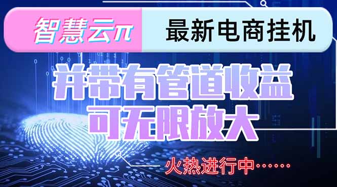 智慧云π电脑挂机单机每天收益300—500+ 并带有团队管道收益 可无限放大网赚项目-副业赚钱-互联网创业-资源整合御文网赚