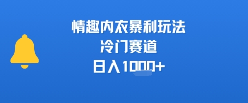 情趣内衣暴利玩法，冷门赛道，日入1k+网赚项目-副业赚钱-互联网创业-资源整合御文网赚